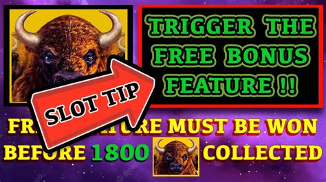 Buffalo Link Slot TIP for Triggering the FREE BONUS Feature!.